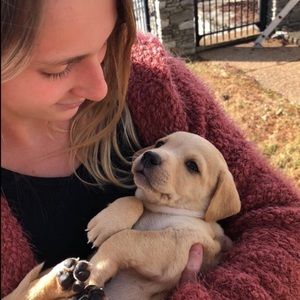 Meet your Posher, Sammy